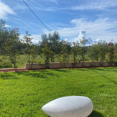 Tt Villa